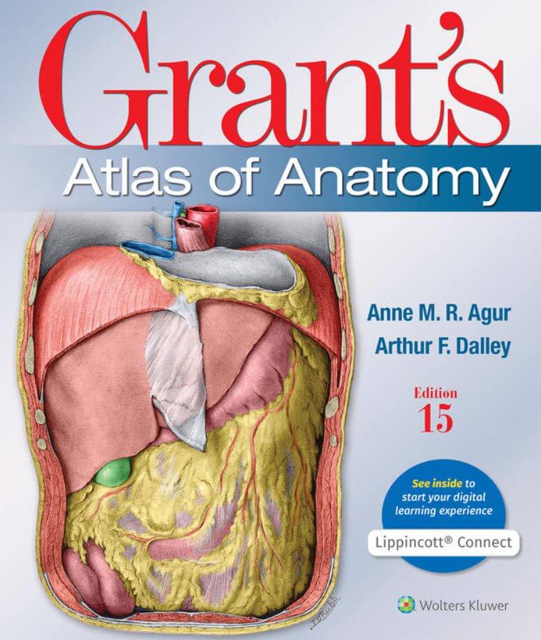 Grant’s Atlas of Anatomy 15th Edition PDF Free Download