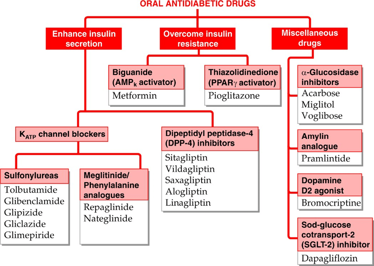 ORAL HYPOGLYCEMIC AGENTS