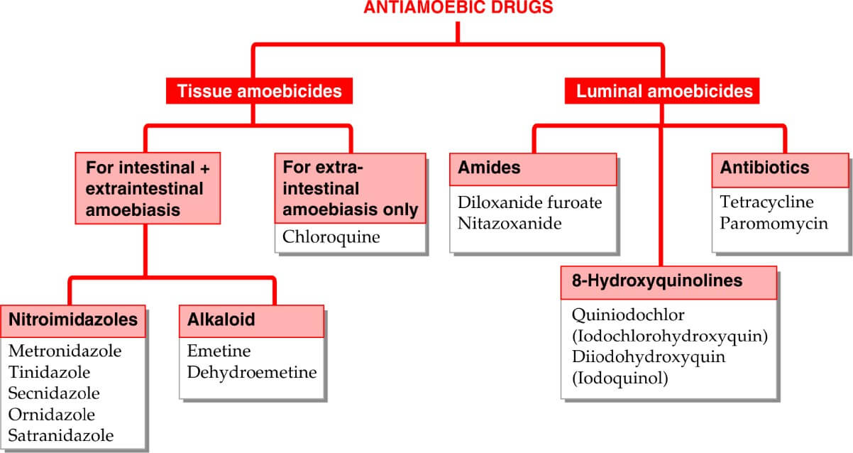 ANTIAMOEBIC DRUGS