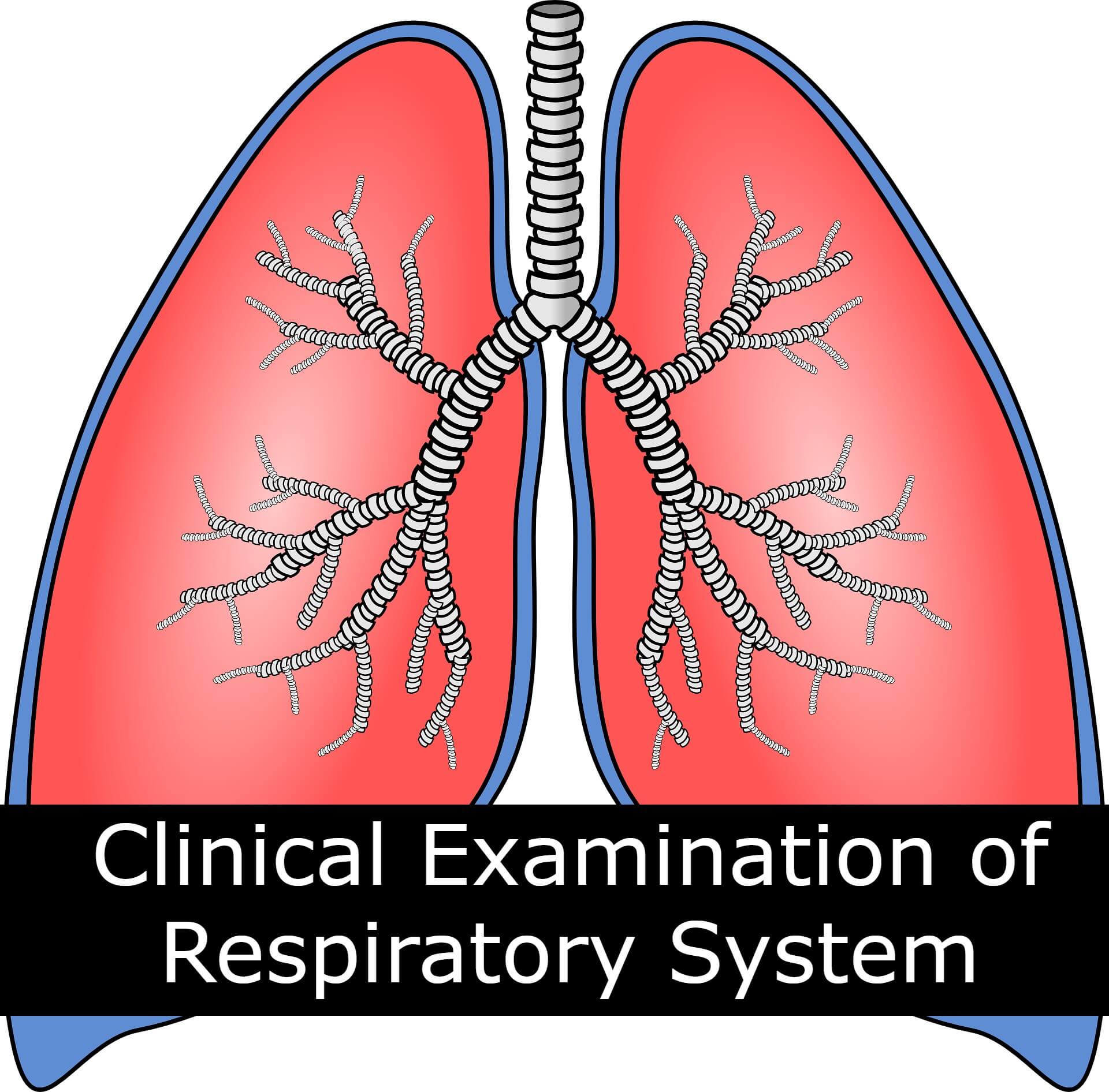 Clinical Examination of Respiratory System