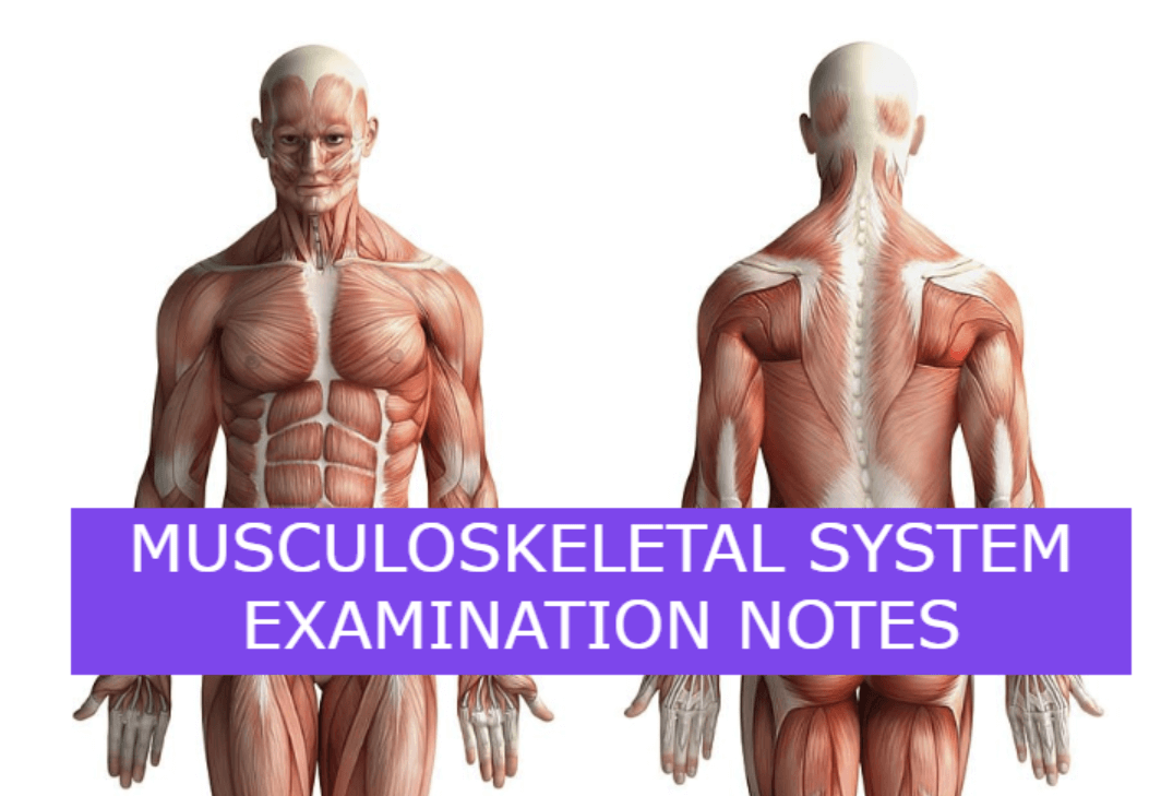 MUSCULOSKELETAL SYSTEM EXAMINATION NOTES