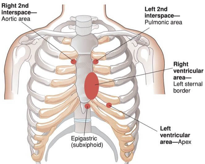 Cardiovascular System Examination Full Notes for Medical Students